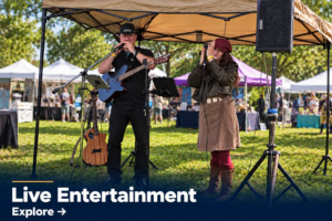 Explore Live Entertainment at Hometown Festival